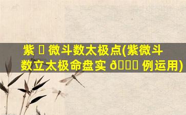 紫 ☘ 微斗数太极点(紫微斗数立太极命盘实 🕊 例运用)